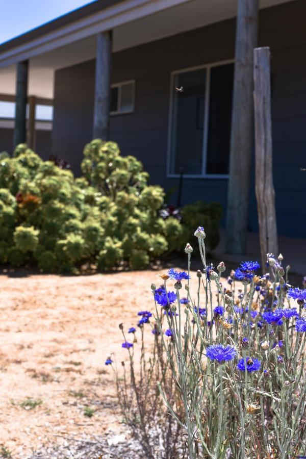 Bremer Bay B&B Extérieur photo